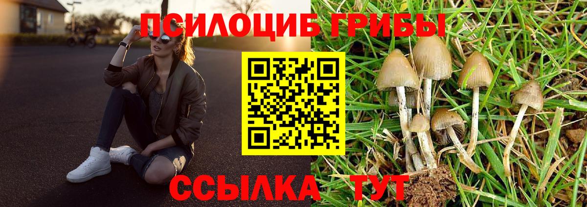 Псилоцибиновые грибы Magic Shrooms Новодвинск