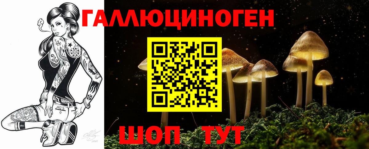 Галлюциногенные грибы Psilocybe  Вход с VPN  Новодвинск 